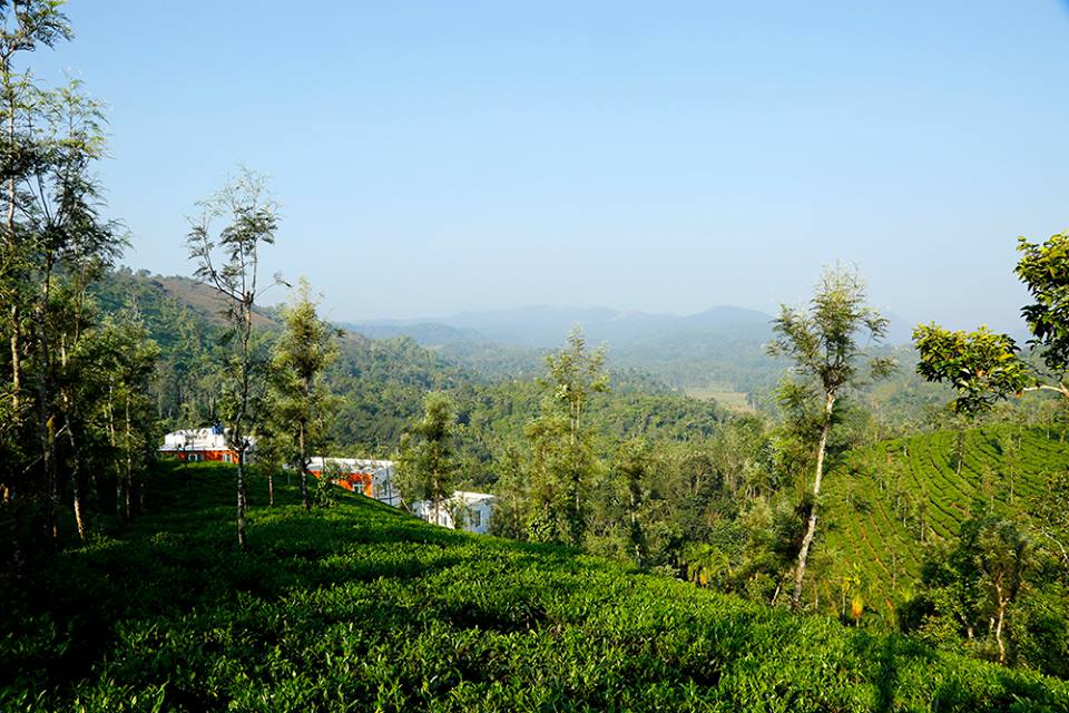 Collection O 811106 Ashiyana Homes, Kakkanad Kochi, Kochi
